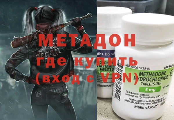 прущие грибы Заводоуковск