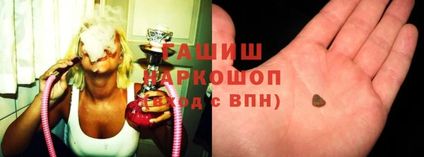 прущие грибы Заводоуковск