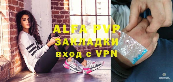 прущие грибы Заводоуковск