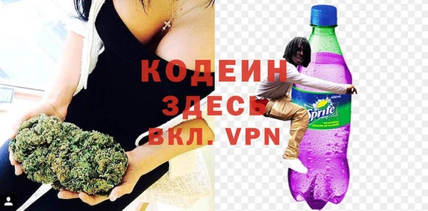 прущие грибы Заводоуковск