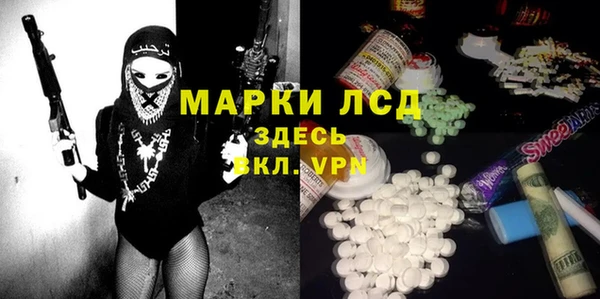 прущие грибы Заводоуковск