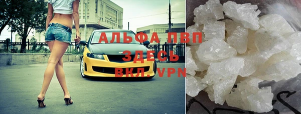 прущие грибы Заводоуковск